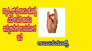 ಅಪಾನಮುದ್ರ( ಪರಿಣಾಮ: ಅಗ್ನಿಯೊಂದಿಗೆ ಅಕಾಶತತ್ವಾ ಮತ್ತು ಪ್ರತ್ವಿ ತತ್ವದ ಮೇಳವಾಗಿ ಸಂತುಲಿತಗೊಳ್ಳುತವೇ ಹೊಟ್ಟೆಯ ಸಕಲ ಅ