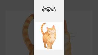 鳴き声で分かる猫の心理雑学10選 #雑学#shorts