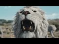 mufasa the lion king official trailer disney uk