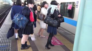 女性専用車両を撮影してみた 小田急線 朝の通勤ラッシュ 登戸駅 混雑