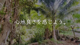 心地よい状態を保ちましょう(No.304)