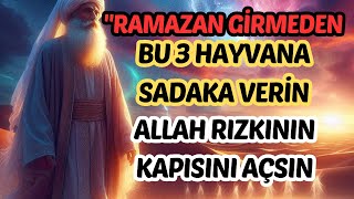 Ramazan Öncesi Bu 3 Hayvana Sadaka Ver ve Bereketin Kapılarını Aç!