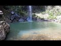 twin falls circuit in springbrook national park hiking in queensland australia