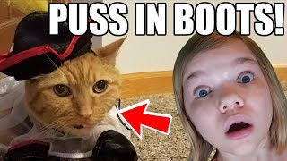 Puss In Boots: Talking Cat Fairy Tale! Babyteeth4 Mini Movie
