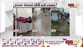 હળવદ પંથકમાં ધીમીધારે વરસાદ, ખેડૂતોમાં વ્યાપી ચિંતા | Gstv Gujarati News