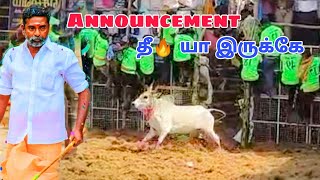 லால்குடி தளபதி காத்தான் காளை💥 | Jallikattu video❤️ | ஜல்லிக்கட்டு 2023 ⚡| விளையாட்டு மாடு 🔥🔥🔥