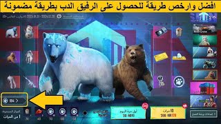 افضل وارخص طريقة للحصول على الرفيق الدب بطريقة مضمونة