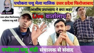 पचोकरा पशु मंडी | मेला मालिक से सीधा संवाद | क्या कुछ बोले | pachokhara Pashu Mandi interview