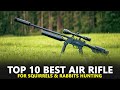 Best Air Rifle for Squirrels and Rabbits - Top 10 Best Air Rifle for Hunting