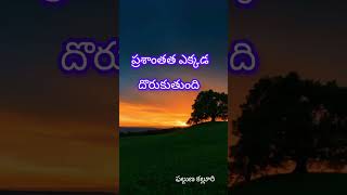 piece of mind ||ప్రశాంతత ఎక్కడ దొరుకుతుంది || పుస్తక ప్రపంచం