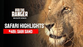 Safari Highlights #481: 11 - 15  August 2017 | Sabi Sand Nature Reserve | Latest #Wildlife Sightings