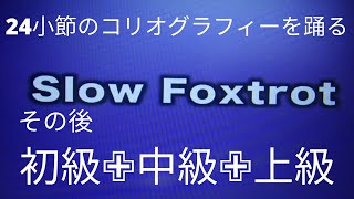 【スロー・レッスン】世界トッププロのミルコとアレシア組が２４小節のコリオグラフィーを解説しています。RIMG2031