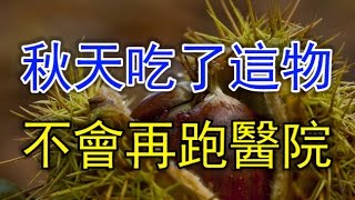 秋天吃了這物絕不會再跑醫院