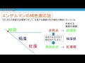 高校生物「藻類に含まれる光合成色素」