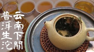 dark tea | Yunnan Xiaguan Sheng Puer tea