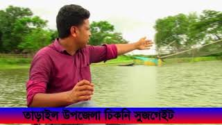 Tarail Upazila Haor Beel Fish Paddy Cow Buffalo Poultry Farm Kishoreganj