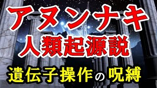 アヌンナキ／人類起源説 【遺伝子操作に仕組まれた呪縛】