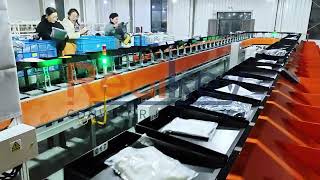 Tilt Tray Sorter | High-Speed Parcel & Clothing Sorting Automation