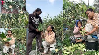 Himeshlai arko Bihe gar vandai Megha//Aaja hamro Basain Farmma//