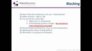 Western Blotting Webinar: the principles and a comparison of indirect vs. direct immunodetection