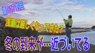 釣り動画ロマンを求めて 617釣目