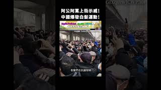 阿公阿罵上街示威！中國爆發白髮運動！｜志祺七七 #shorts