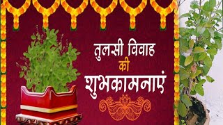 Tulsi Vivah kab hai | तुलसी विवाह | tulsi vivah 2022date |Tulisi Kaun thi| कार्तिक तुलसी विवाह कथा