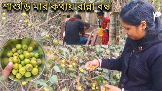 শাশুড়িমার কথায় আজ রান্না বন্ধ | জঙ্গলের গাছের কুল তুলে মাখা খেলাম এতো স্বাদ ||