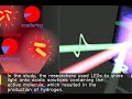 new molecule found that collects energy from entire visible spectrum