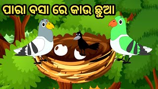 ପାରା ଓ କାଉ ର ଗପ|| Tiki chadei gapa||odia moral story||odia gapa||sona tv-odia gapa||Aaima kahani||