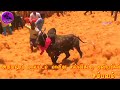 அரியலூர் மாவட்டம் மாவீரா சல்லிக்கட்டு நண்பர்கள் சம்பவம் jallikattu video