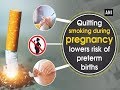 Quitting smoking during pregnancy lowers risk of preterm births