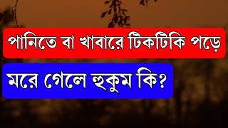 পানিতে বা খাবারে টিকটিকি পড়ে মরে গেলে হুকুম কি? #প্রশ্ন_উত্তর_সিজনুন #siznun #viral #Islamic_video