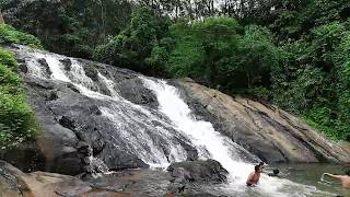 Rajagiri Waterfalls