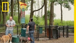Poop-O-Meter | Crowd Control