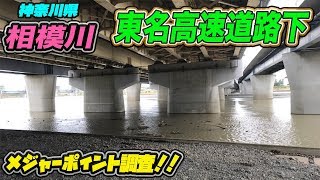 メジャー P 調査！東名高速道路下！ ブラックバス釣り