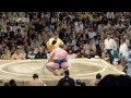 ozeki kisenosato 3 1 tochinoshin 1 3 sumo natsubasho 15