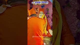 गुरु पूर्णिमा, गुरुदेव मूर्ति पूजा पूजन, श्री अमरापुर स्थान जयपुर