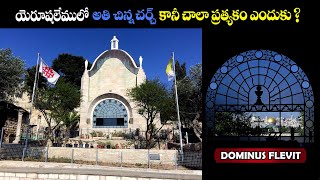 #ఒలీవకొండ #DominusFlivit #MtOlives #Jerusalem #BroBenhurbabu #Holyland #Benhurbabuvideos