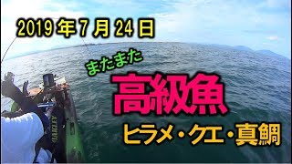 カヤックフィッシングvol_6【高級魚再来！クエ・ヒラメ・真鯛】