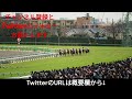 ai競馬予想 2023年4月22日 土 福島・東京・京都全レース