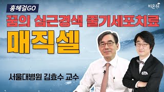 [홍혜걸GO] 심근경색을 치료하는 매직셀 줄기세포 치료법- 서울대병원 순환기내과 김효수 교수