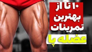 بهترین تمرینات برای عضلانی شدن پا  / چطور پاهای حجیم و عضلانی داشته باشیم؟