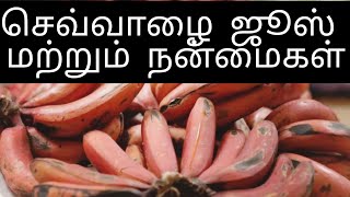 செவ்வாழை ஜூஸ் செய்வது எப்படி? / செவ்வாழை நன்மைகள்/How to make Red bannana juice tamil