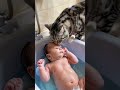 Cat bathes baby