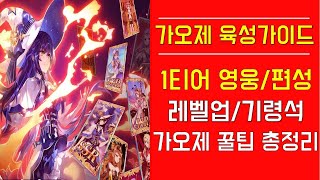 [가디스오브제네시스] 가오제 육성가이드! 1티어 영웅/편성! 레벨업/기령석! 가오제 꿀팁 총정리 Goddess of genesis Guide!