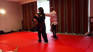 WEBBS Congress 2013 Portugal with Shihan Monica Couto 1/9