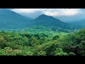 nature whatsapp status nature love whatsapp status relaxing music instrumental nature ringtone