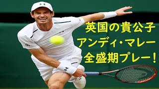 【元世界ランキング1位】アンディ・マレー！全盛期のプレーがまさに敵なし！【テニス】