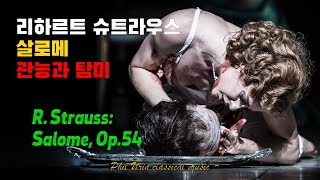 리하르트 슈트라우스: 살로메 피날레 | 파이널 씬 | R. Strauss: Salome, Es ist kein Laut zu vernehmen.